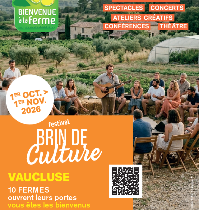 Festival Brin de culture